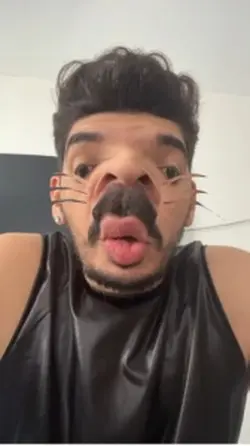 Efeito do rato