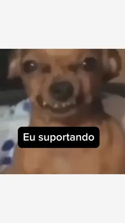 Eu suportando 🤣🤣