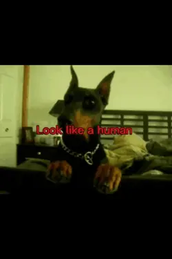 Doberman 
Therian