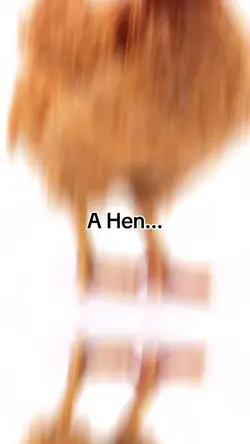 A Ten..