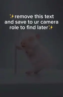 pig 🤤🤤❤️