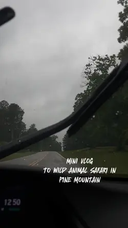 Safari 