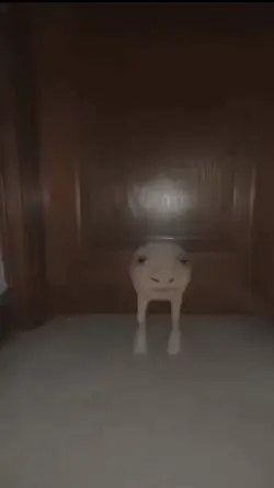 are you pooping