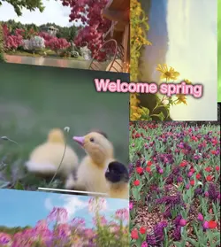 Welcome spring 