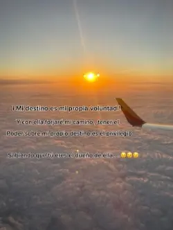Vida 