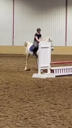 Schooling!! 
