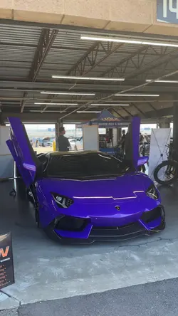 Purple aventador 