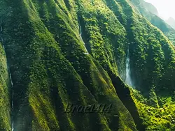 Jurassic World 