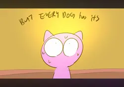 Dog and cat 