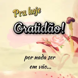 Pra hoje... Gratidão