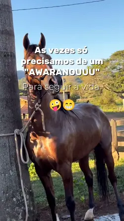 só precisamos 