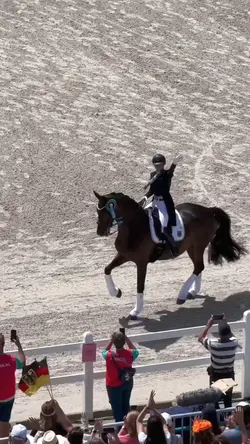 dressaggeee
