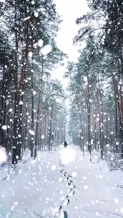 Heavy snow