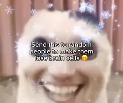 Singing cat mem