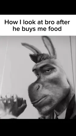 Donkey Template 🗣️