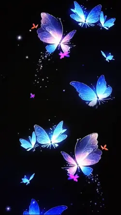 Butterflies 🦋