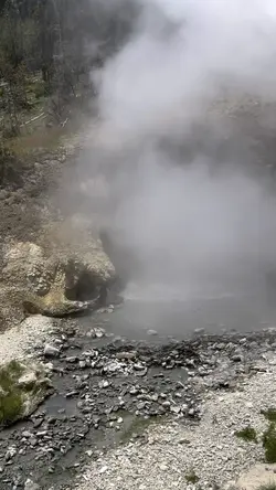 Yellowstone national
