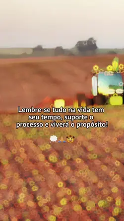 reflita