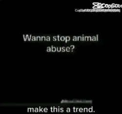 wanna stop animal