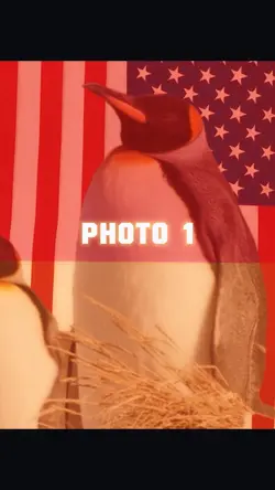 Despicable m
