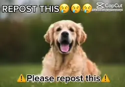 repost