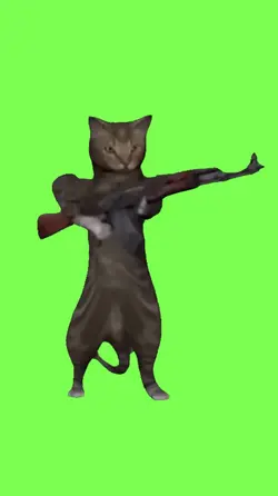 Cat fire ak47