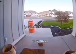 Steal package meme