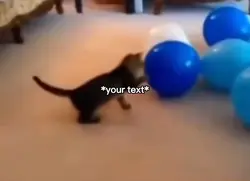 Pop cat meme