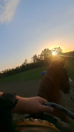 barn vlog