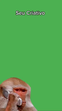 monkey  fone