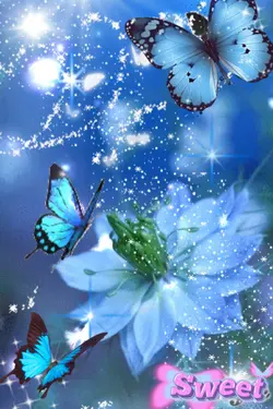 Happy butterflies 🥰❤️