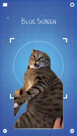 Gato soundtrack
