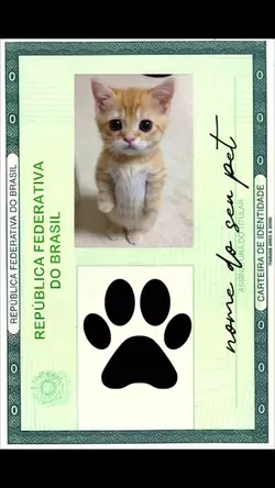 carteirinha pet