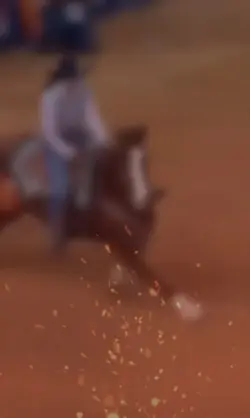 Horse Edit