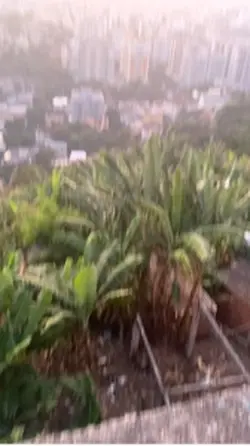 Vivo de pressa