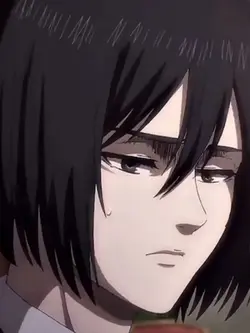 mikasa