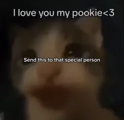 ILY pookie