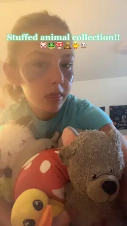 Stuffie Collection 😝