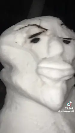 massive sigma snow