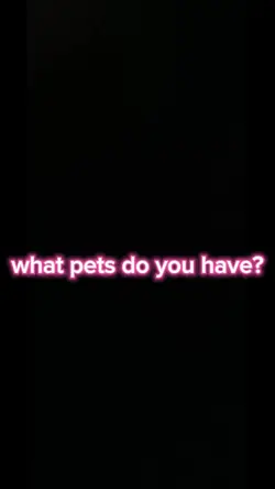Aquatic pets