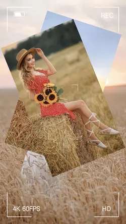 5 pictures 
