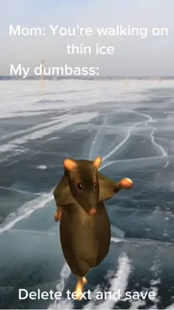 Rat dance