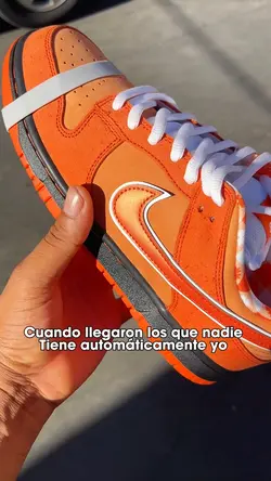 Nike SB 