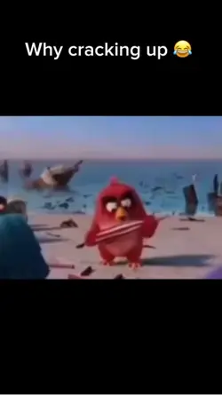 Angry birds meme