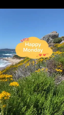 Happy Monday 