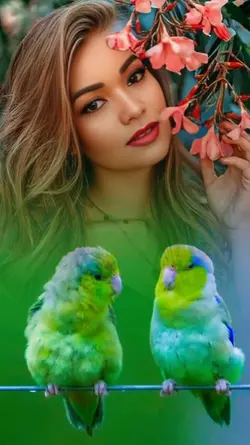 Natureza e pássaros 