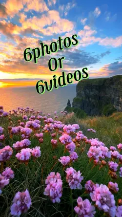 6photos/videos