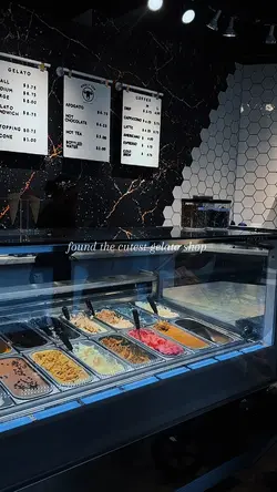 Vlog 