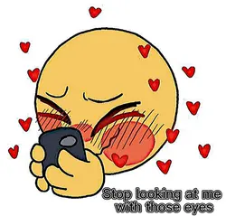 Stop looking 