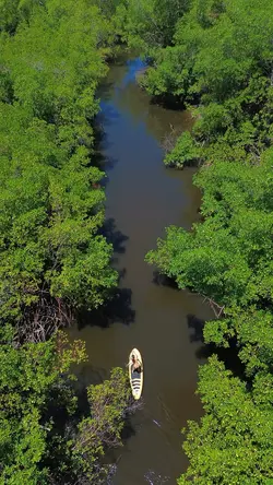 Natureza e paz